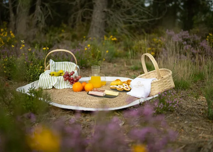 Casas Do Freixial - Casa Do Beco Летний дом *